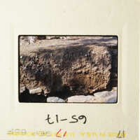 This is a photograph of an old slide showing a rock wall with dirt around it.