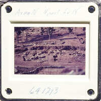 Aerial view of an ancient archaeological site with ruins and vegetation.