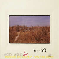A photograph of a field with a dirt road and overgrown vegetation, displayed on a white card with red markings.