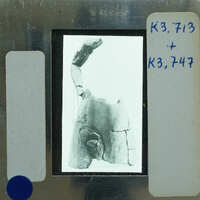 Black and white image of a fossilized animal skull on a slide.