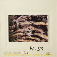 A photograph of a rocky landscape with shrubs and trees, featuring an old slide mount with handwritten notes.