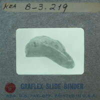 A binder with a slide of an ancient artifact, possibly a fossil or a piece of pottery.