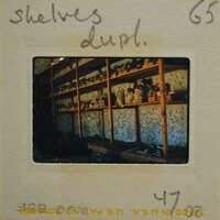 Old photo of shelves filled with various objects, possibly pottery or antiques.