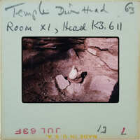 Detail of terracotta head on floor.