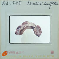 Fragment of circular item.