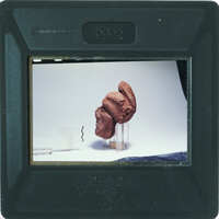 A clay sculpture of a head on display.