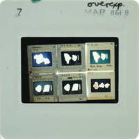 A slide with images of frescoes with various images and labels on it.