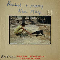 Woman feeding black dog with food from her hand.