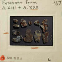 Old photograph of rock samples with labels and annotations on a paper background.
