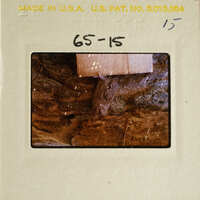 Close-up photograph of a rock surface with a small, dark object on top.