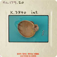 A photograph of an ancient pottery shard with visible markings and texture, set against a blue background.