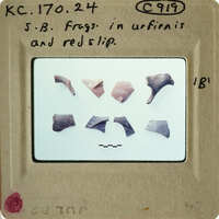 A collection of ancient pottery shards on display.