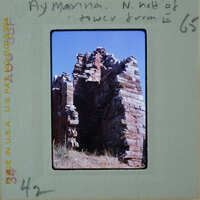 The image is a photograph of an old, crumbling brick structure with vegetation growing on it.