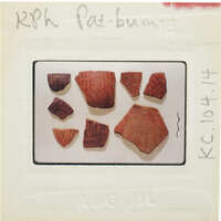 A collection of broken pottery pieces on a white surface, with handwritten labels and numbers indicating identification.