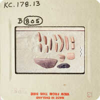 Old photograph showing an array of fossilized teeth and bones.