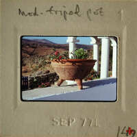 A terracotta pot with flowers on a balcony railing.