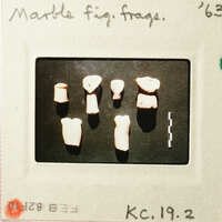 A collection of small, ancient teeth displayed on a black background.