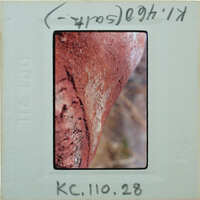 Detail of terracotta breast fragment from side K1.460.