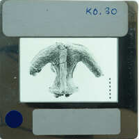 Terracotta statue torso from the back K0.30