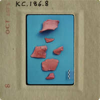 Small ceramic shards on blue background.