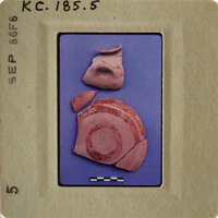 A collection of ancient pottery shards on display.