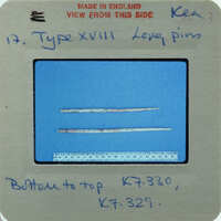 Two bone needles on blue surface.