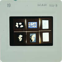 A close-up image of a film strip with multiple small images