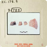 Four small, dark-colored objects on a white surface.