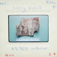 A photograph of a broken ivory artifact with measurement lines and labels, displayed on a white surface.