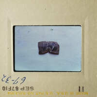 The image shows a small, dark object on a white surface, possibly a piece of jewelry or an artifact, with two photographs side by side.