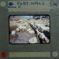 A photograph of a stone wall with vegetation, displayed on an old film strip.