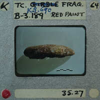 The image shows a close-up of an object, possibly a fossil or artifact, with a label and measurements on it, suggesting scientific study or documentation.
