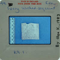 A close-up photograph of a small, worn ivory object with measurement markings on the border.