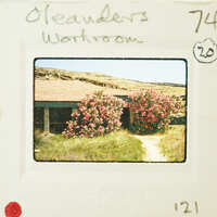 The image shows a vintage Polaroid photo of a building with pink flowers and a cloudy sky, labeled as "Cleaners Workroom" on the front.