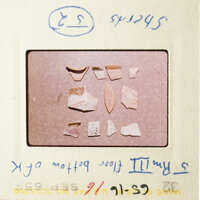 The image shows a collection of broken pottery pieces on a table.