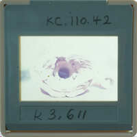 Interior of terracotta figurine part.