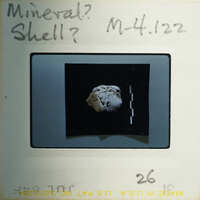 Small rock on a tray with measurement markings and labels.