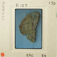 A photograph of an ancient leaf-shaped artifact with visible decay.