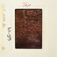 Brown and green moss growing on rocks.