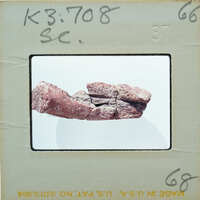 A photograph of a rock specimen on display, with a label indicating it's from the "KING GEORGE" collection.