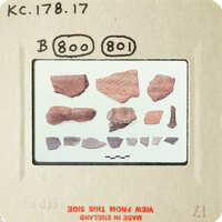 Photograph showing various ancient pottery shards on display.