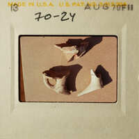 The photo shows two broken pottery pieces on a table.