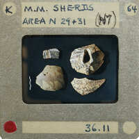 Four ancient pottery sherds.