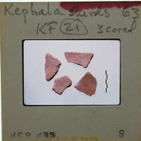 Image of a pottery sherds with labels and identification numbers.