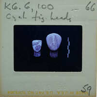 Slide of two stone heads with a label on the back.