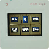 A slide of multiple slides of painted wall plaster fragments