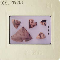 Old pottery shards on a white surface.