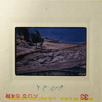 Beach scene with rocky shore and trees, captured on an old photograph.