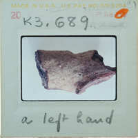 Fragment of terracotta hand on white background.