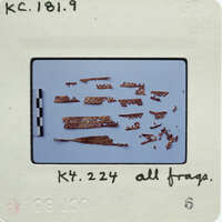 A collection of small, metallic parts displayed on a white surface.